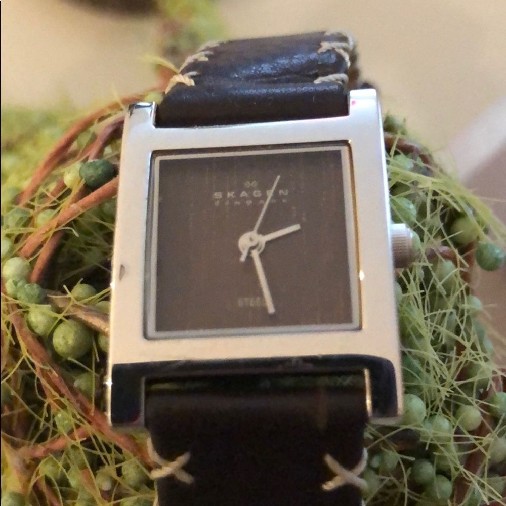 Skagen Silver Watch with Brown Face & Leather Band